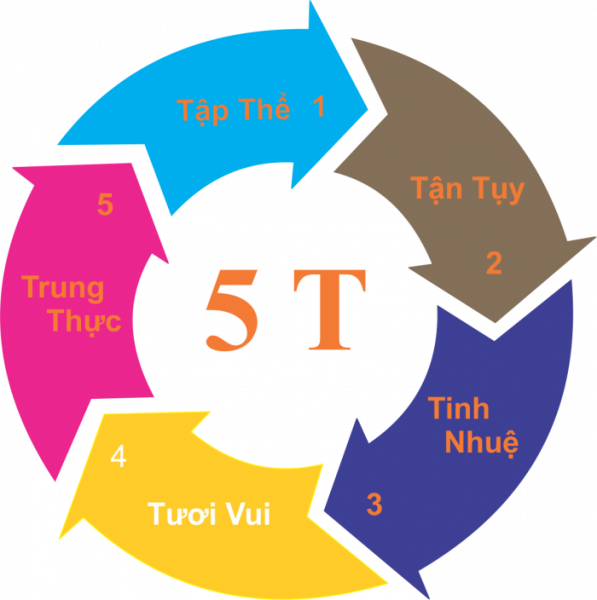 5t-pvi
